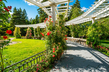 The colorful Renaissance European style formal Duncan Gardens white pergola arbor in the public Manito Park and Botanical Gardens, in the South Hill district of downtown Spokane, Washington, USA