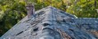 © BrilliantPixels - Roof inspection reveals hail damage on shingles, ideal for insurance claims and maintenance guidance.