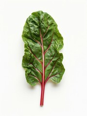 Wall Mural - Isolated on a white background, a vibrant chard leaf with a magenta stem, in a top view.