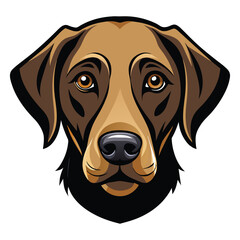 Wall Mural - Detailed vector illustration of a Labrador Retriever dog head portrait with a realistic and expressive look