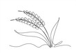 © mitay20 - Continuous one line drawing of wheat. Barley or Rye outline vector illustration.