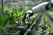 © Kate Pasechnik - Photo of An AI robot in an indoor farm observing plants