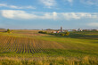 © Daniel Thornberg - Iowa farm and fields of young corn at sunset on a beautiful day in late spring