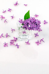 Wall Mural - Beautiful lilac flowers in a glass vase on a white background, Mockup card. copy space