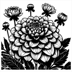 Wall Mural - Dahlia flower black outline illustration.