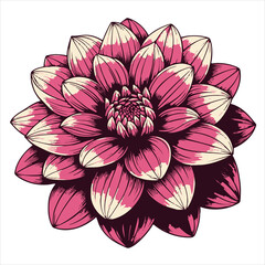 Wall Mural - Dahlia flower black outline illustration.