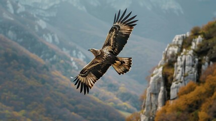 Canvas Print - Golden Eagle Soaring Above a Mountainous Landscape