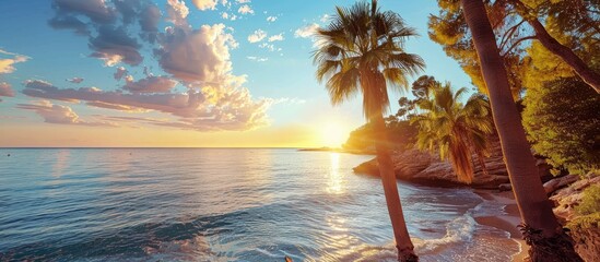 Wall Mural - Palm tree-lined shore with a picturesque sunny summer view.