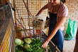 © Luis Herrera/Stocksy - volunteer working in a food bank
