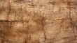 © CrazyJuke - Enhance projects with rustic tree bark texture