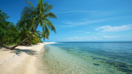 Tropical beach with palm trees and calm ocean waves, under a bright blue sky with scattered clouds. Perfect for travel and vacation themes