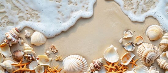 Wall Mural - Beach Vibes: Seashells on Sandy Shoreline. A Relaxing Sea-themed Summer Backdrop with Room for Your Message. A Bird's Eye View.