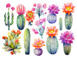 © Pickoloh - Watercolor cactus with flowers illustration set isolated background
