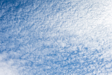 Wall Mural - Beautiful blue sky with high Cirrocumulus white clouds, textured nature background
