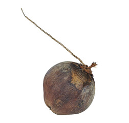 Wall Mural - coconut isolated on white transparen.