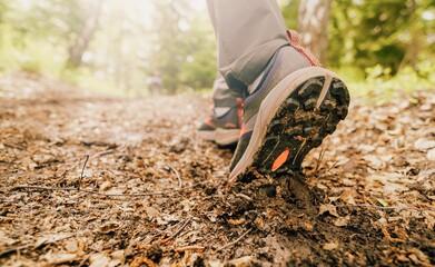 Poster - walking on the dity trail in the forest