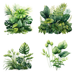 Wall Mural - Four individual watercolor paintings of tropical plants, featuring lush green foliage and delicate details