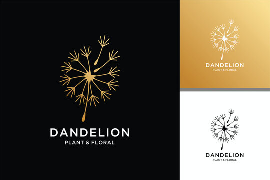 Abstract dandelion logo design illustration 