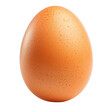 © Sim - cracked egg top view full length on transparency background PNG