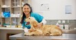 © CineLens/peopleimages.com - Happy woman, portrait and veterinarian with dog for animal checkup, visit or healthcare at shelter. Young asian female person or veterinary with smile for medical pet care or treatment at clinic