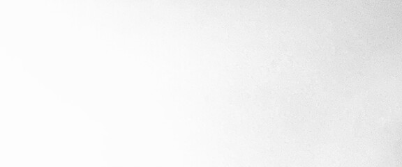 Poster - Vector white and grey soft smooth gradient texture color. shiny bright background	
