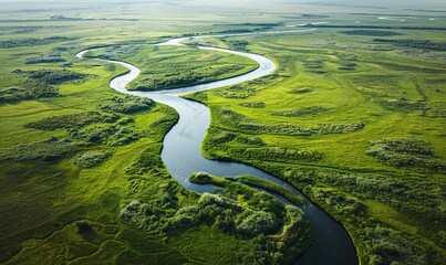 Wall Mural - Minimalistic high-angle aerial photo from a plane, featuring a meandering river across green grasslands in high-definition