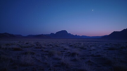 Wall Mural - Dark Night Sky in the Desert