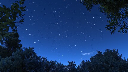 Wall Mural - starry night sky in the countryside