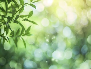 a close up lush green jungle leaf with a sunlight and sky in the background