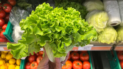 Fresh lettuce on a market shelf.