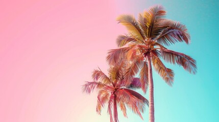 Wall Mural - Coconut palm trees on pink sky background. Vintage toned	
