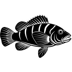 Wrasse fish silhouette vector art illustration.