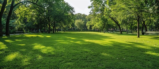 Poster - Utilize a public park with a green grass field as a charming natural setting.