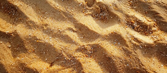 Canvas Print - Fine sand on the beach under the summer sun