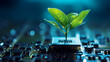 © xuan - Green technology concept, a small plant growing on a circuit board of a computer chip