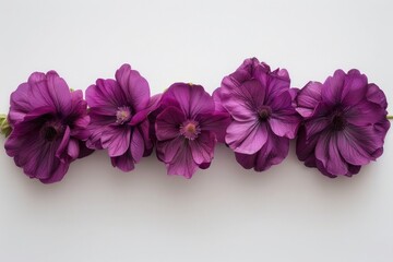 Wall Mural - A row of purple flowers aligned on a white surface, with one flower situated centrally