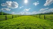 © olegganko - Green Pasture With Wooden Fence and Blue Sky on a Sunny Day