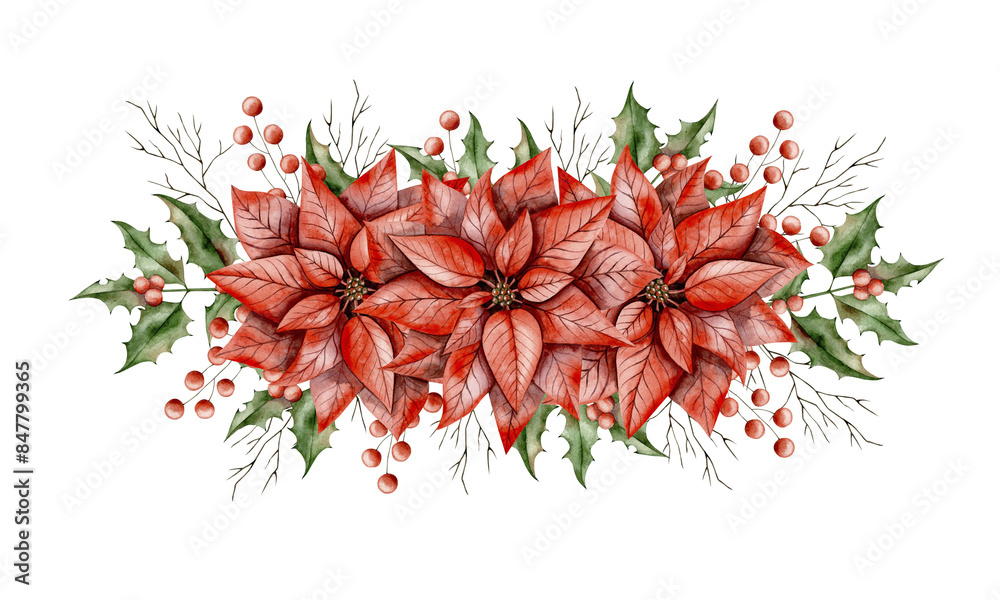 New Years Christmas hand drawn watercolor illustration with poinsettia ...