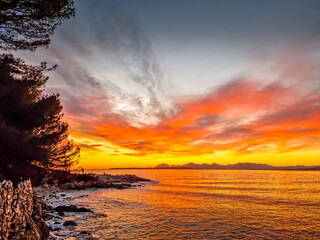 Poster - Landscape in the Cap d'Antibes during a sunset, South of France