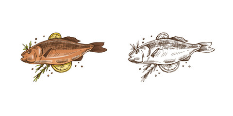 Wall Mural - Hand-drawn colored and monochrome vector sketch of barbecue fish. Doodle vintage illustration. Decorations for the menu of cafes and labels. Engraved image.