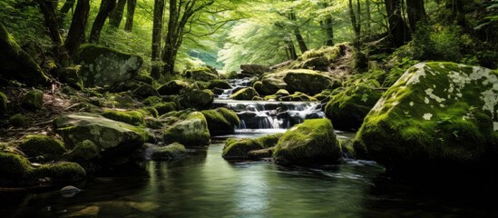 Aufkleber - mini waterfall. Creative banner. Copyspace image