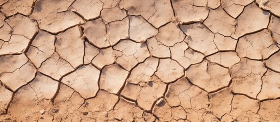 Aufkleber - Closeup dry cracked earth background clay desert texture on rock. Creative banner. Copyspace image