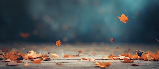 Wall Mural - there are many leaves falling on the floor in the autumn on a blurred background. creative banner. c