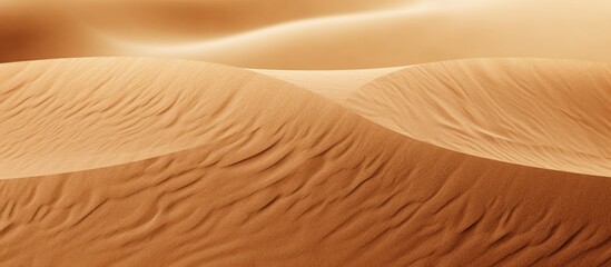 Poster - Abstract sand background. Creative banner. Copyspace image