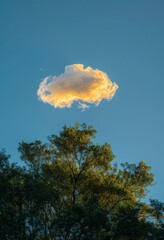 Wall Mural - A cloud in the sky with tree