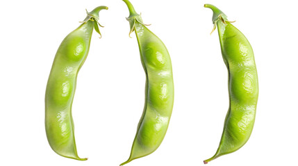 Three fava beans isolated on transparent background