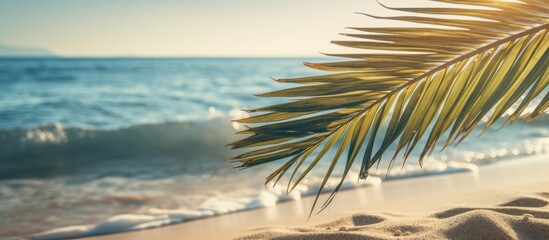 Poster - Blur beautiful nature green palm leaf on tropical beach with bokeh sun light wave abstract background Copy space of summer vacation and business travel concept Vintage tone filter effect color style