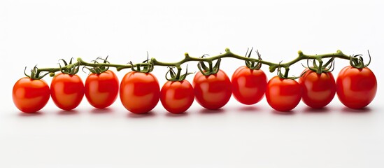 Wall Mural - Fresh cherry tomatoes on white background. Creative banner. Copyspace image
