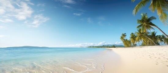 Sticker - Empty tropical beach background Horizon with sky and white sand. Creative banner. Copyspace image