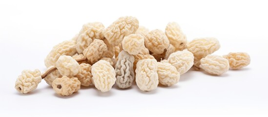 Poster - Dried mulberry isolated on white background Dry sweet berry morus alba closeup. Creative banner. Copyspace image